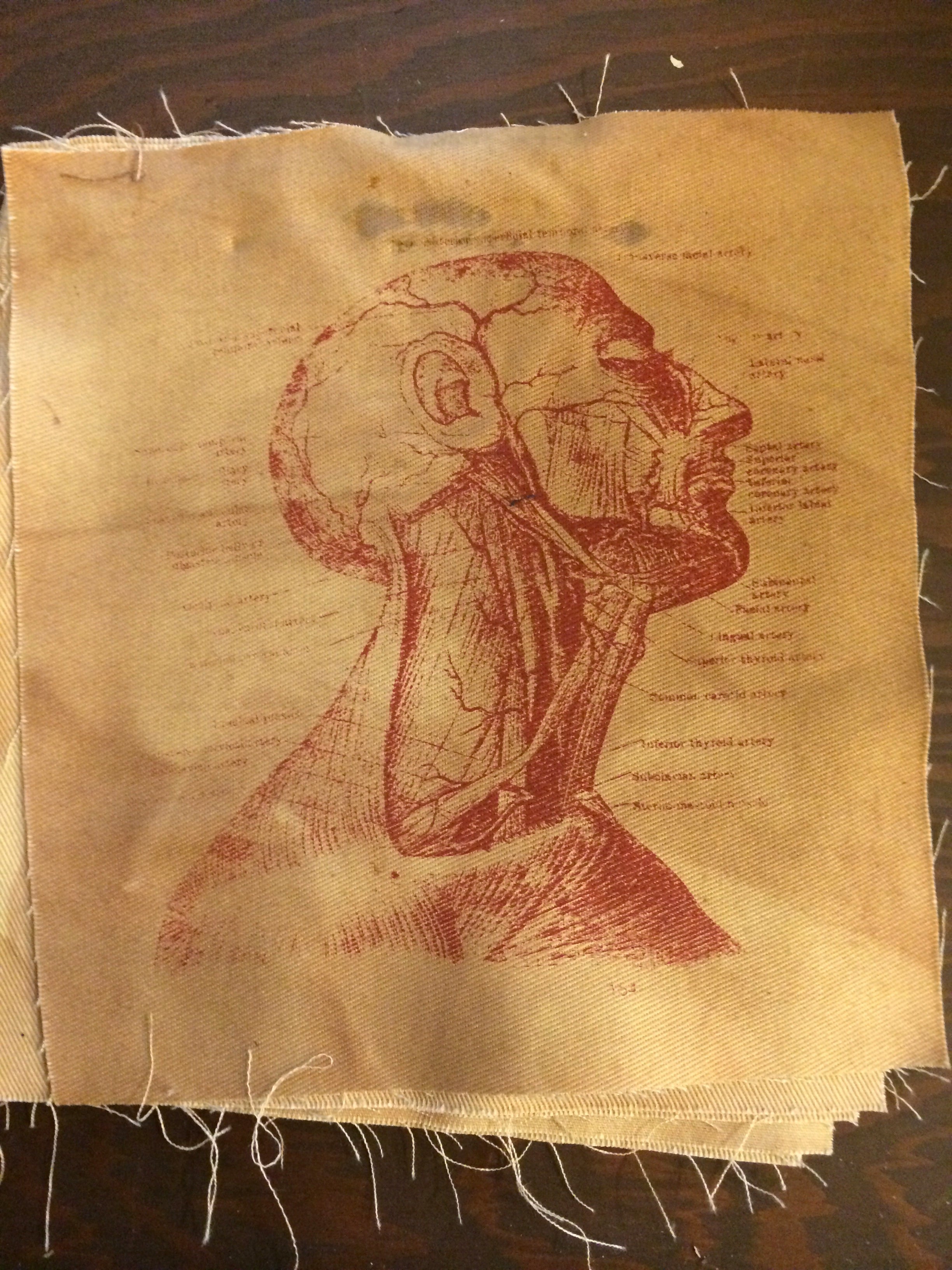 Grey's Anatomy Patch