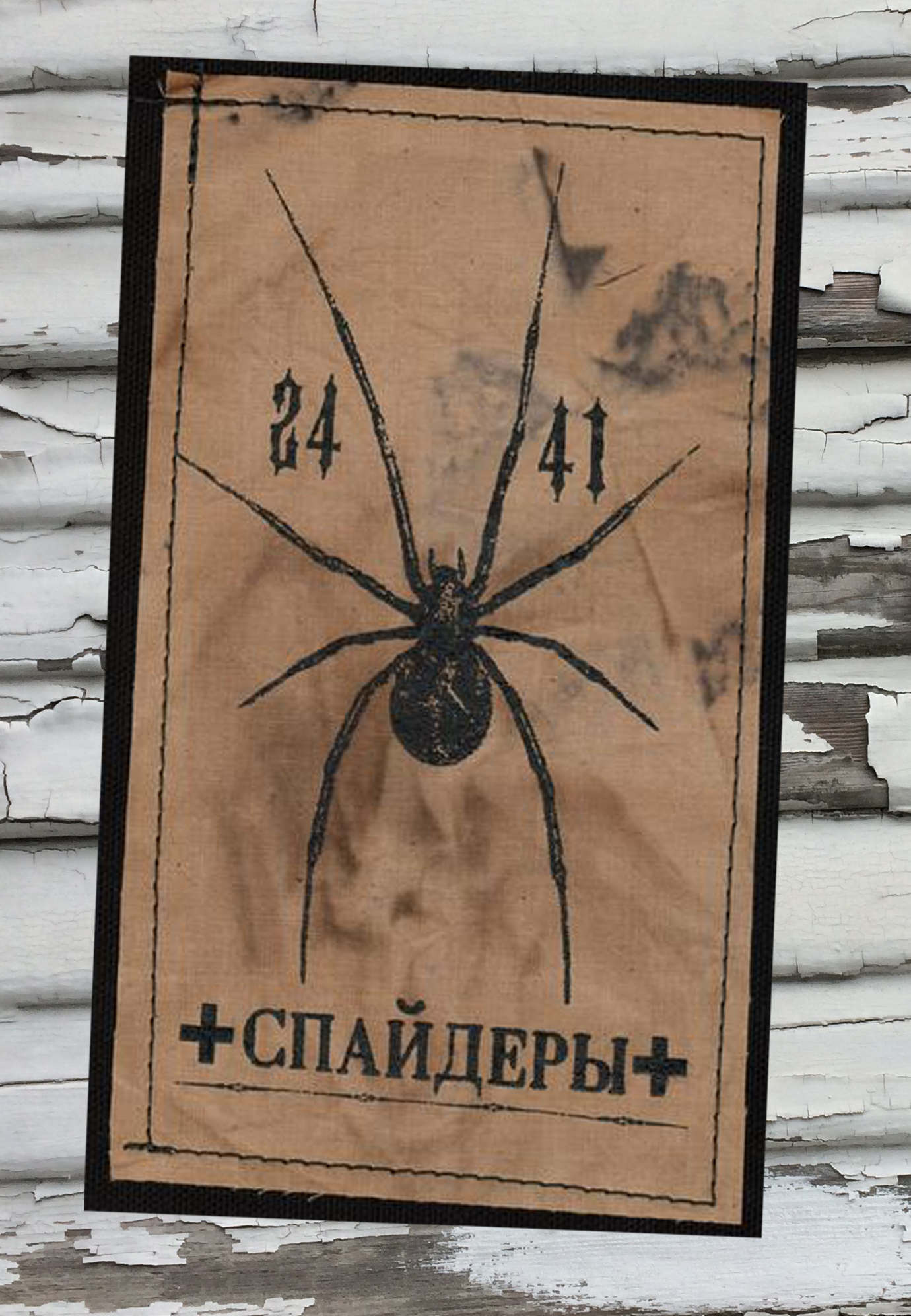 Spider 2441 Patch